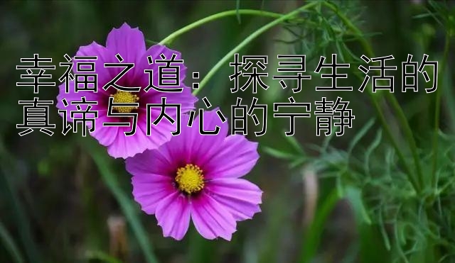 幸福之道：探寻生活的真谛与内心的宁静