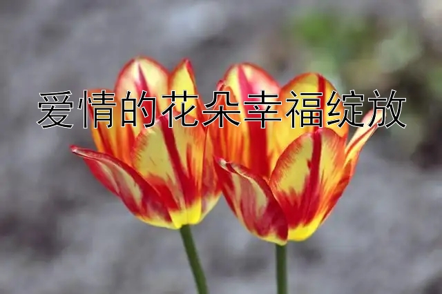 爱情的花朵幸福绽放