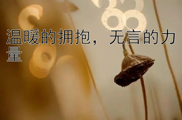 温暖的拥抱，无言的力量