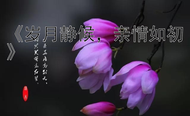 《岁月静候，亲情如初》