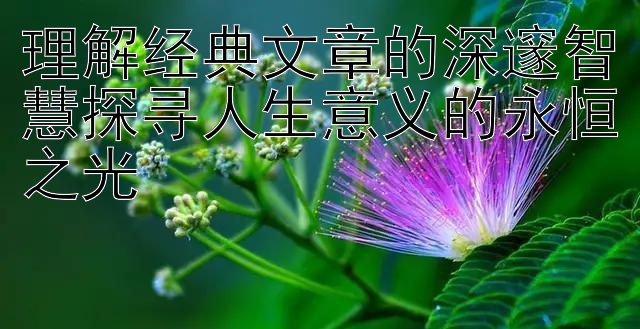 理解经典文章的深邃智慧探寻人生意义的永恒之光