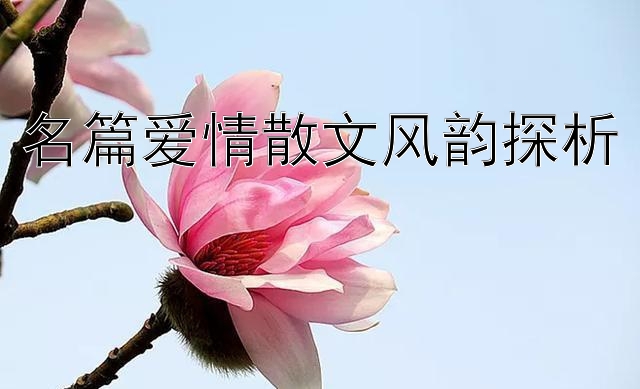 名篇爱情散文风韵探析