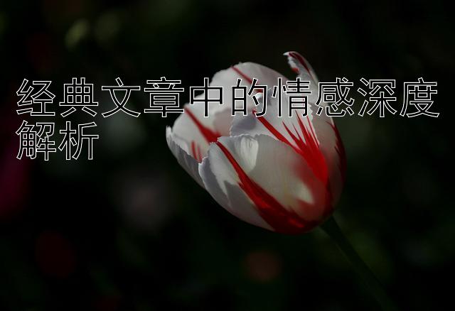 经典文章中的情感深度解析