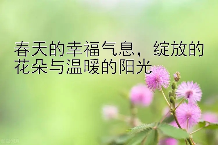 春天的幸福气息，绽放的花朵与温暖的阳光