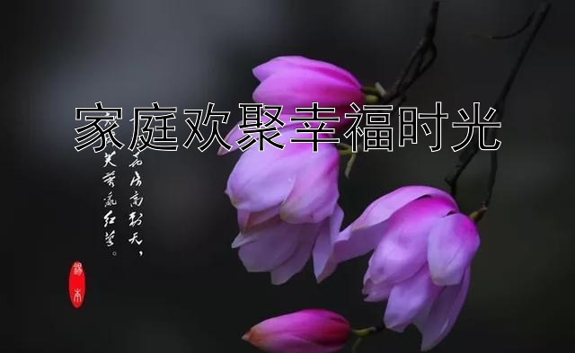 家庭欢聚幸福时光