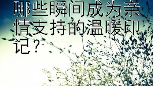 哪些瞬间成为亲情支持的温暖印记？