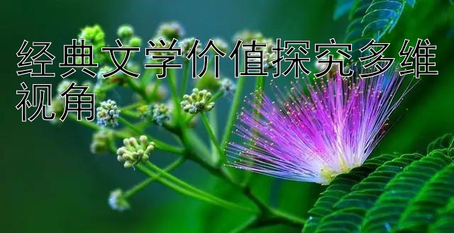 经典文学价值探究多维视角