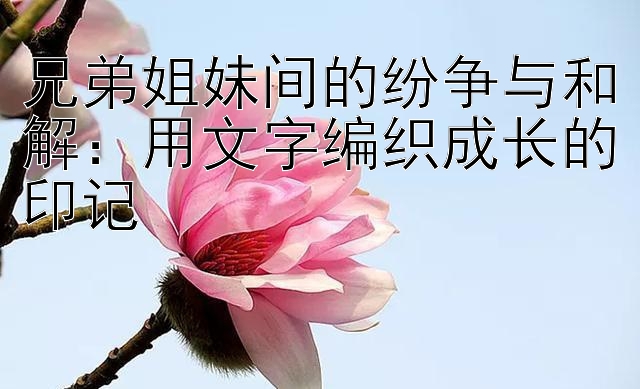 兄弟姐妹间的纷争与和解：用文字编织成长的印记