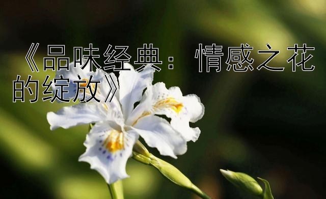 《品味经典：情感之花的绽放》