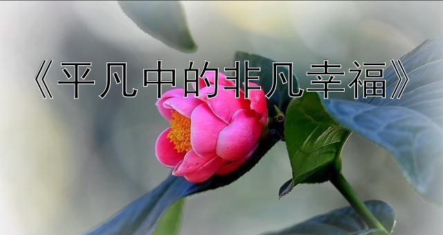 《平凡中的非凡幸福》