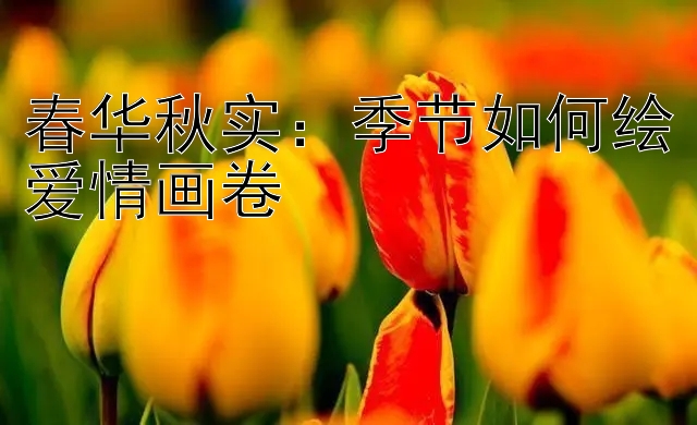 春华秋实：季节如何绘爱情画卷