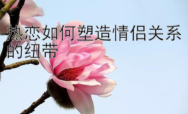 热恋如何塑造情侣关系的纽带