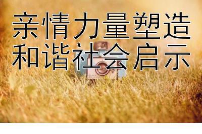 亲情力量塑造和谐社会启示