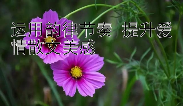 运用韵律节奏 提升爱情散文美感