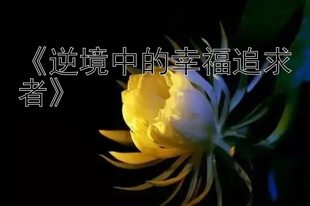 《逆境中的幸福追求者》