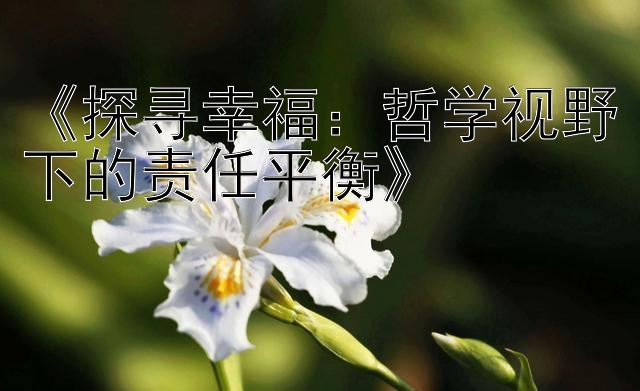 《探寻幸福：哲学视野下的责任平衡》