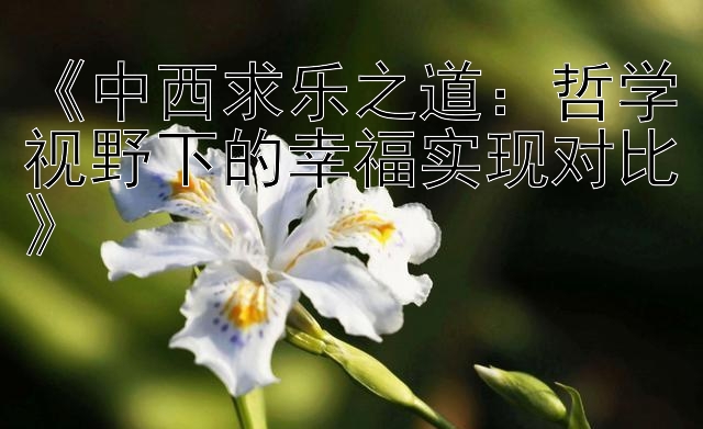 《中西求乐之道：哲学视野下的幸福实现对比》