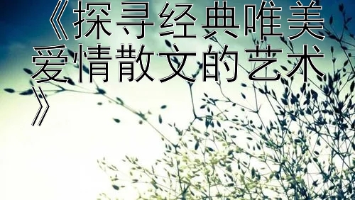 《探寻经典唯美爱情散文的艺术》