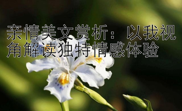 亲情美文赏析：以我视角解读独特情感体验