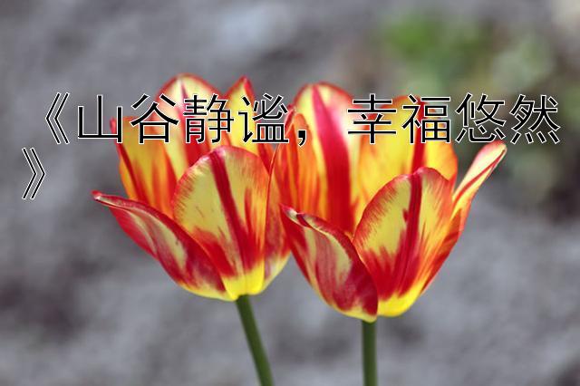 《山谷静谧，幸福悠然》