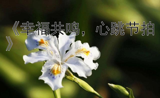 《幸福共鸣，心跳节拍》