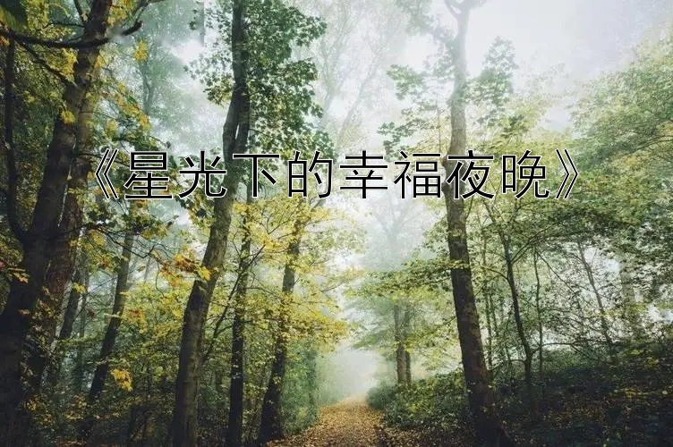 《星光下的幸福夜晚》