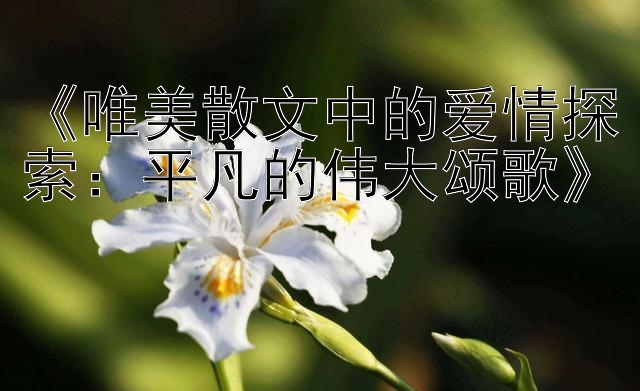 《唯美散文中的爱情探索：平凡的伟大颂歌》