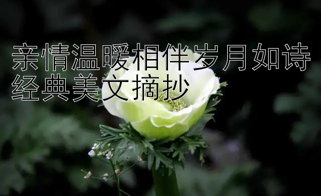 亲情温暖相伴岁月如诗经典美文摘抄