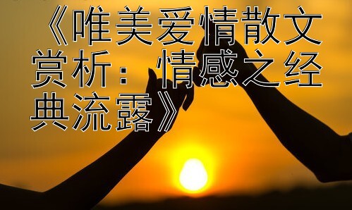 《唯美爱情散文赏析：情感之经典流露》