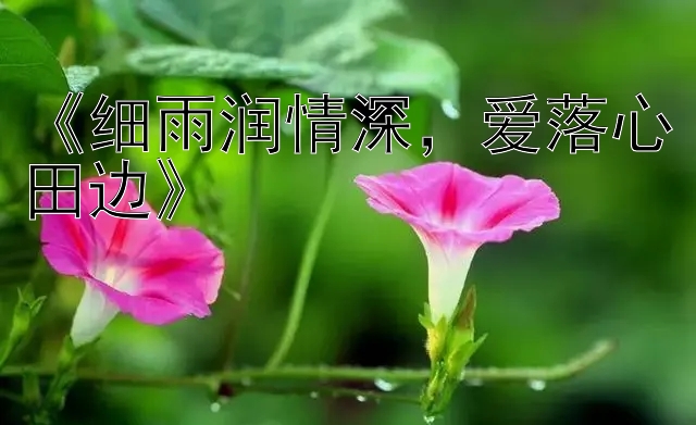 《细雨润情深，爱落心田边》