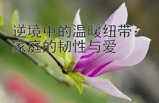 逆境中的温暖纽带：家庭的韧性与爱