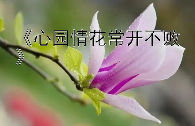 《心园情花常开不败》