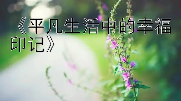 《平凡生活中的幸福印记》