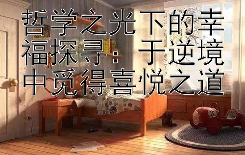 哲学之光下的幸福探寻：于逆境中觅得喜悦之道