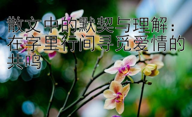 散文中的默契与理解：在字里行间寻觅爱情的共鸣