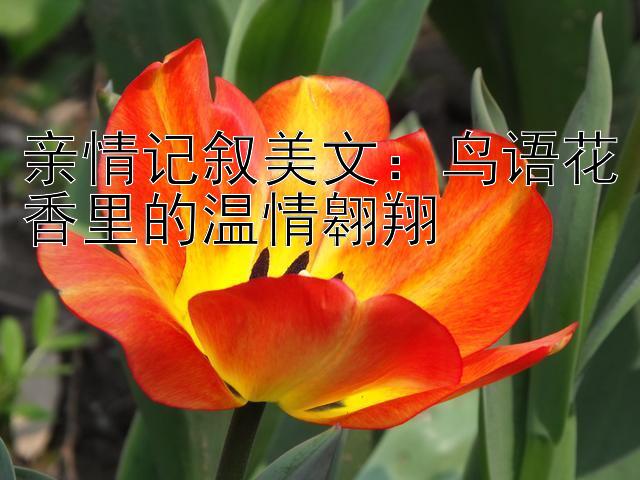 亲情记叙美文：鸟语花香里的温情翱翔