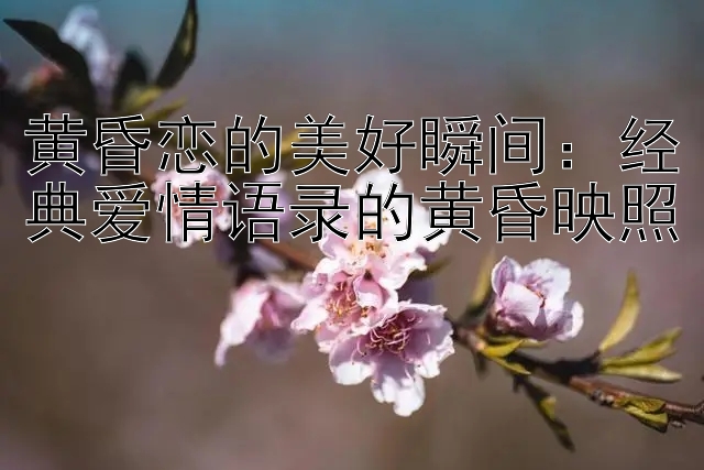 黄昏恋的美好瞬间：经典爱情语录的黄昏映照