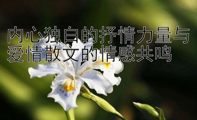 内心独白的抒情力量与爱情散文的情感共鸣