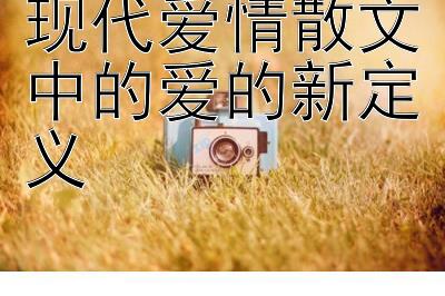 现代爱情散文中的爱的新定义