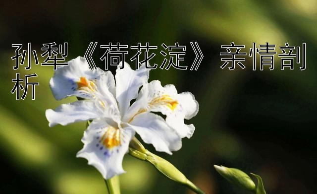 孙犁《荷花淀》亲情剖析