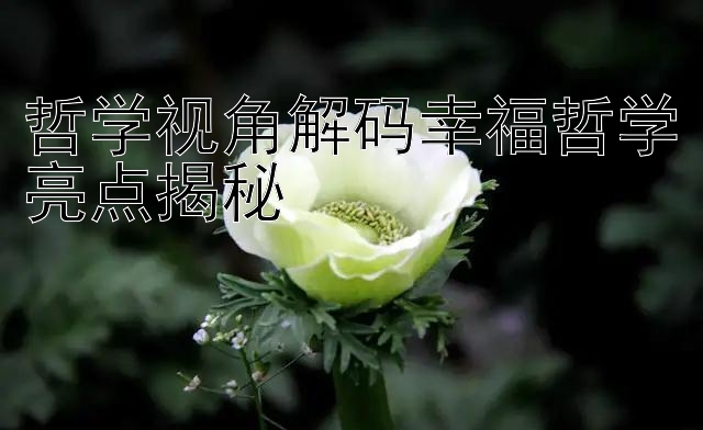 哲学视角解码幸福哲学亮点揭秘