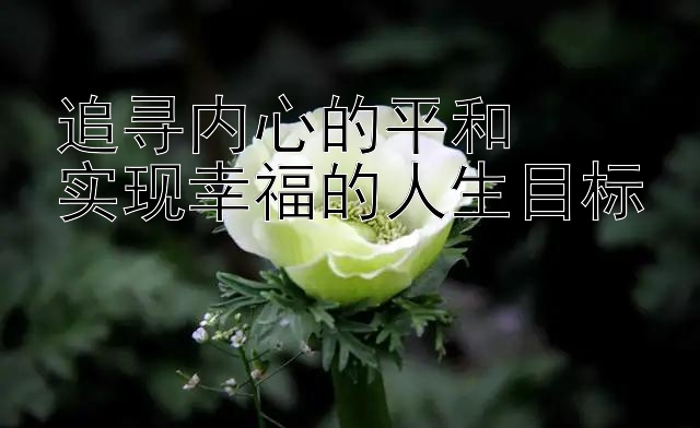 追寻内心的平和  
实现幸福的人生目标