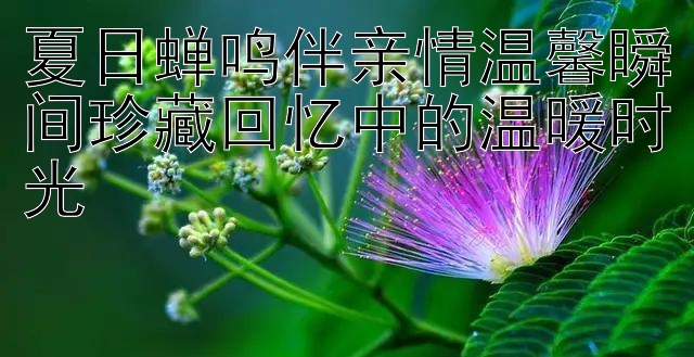 夏日蝉鸣伴亲情温馨瞬间珍藏回忆中的温暖时光